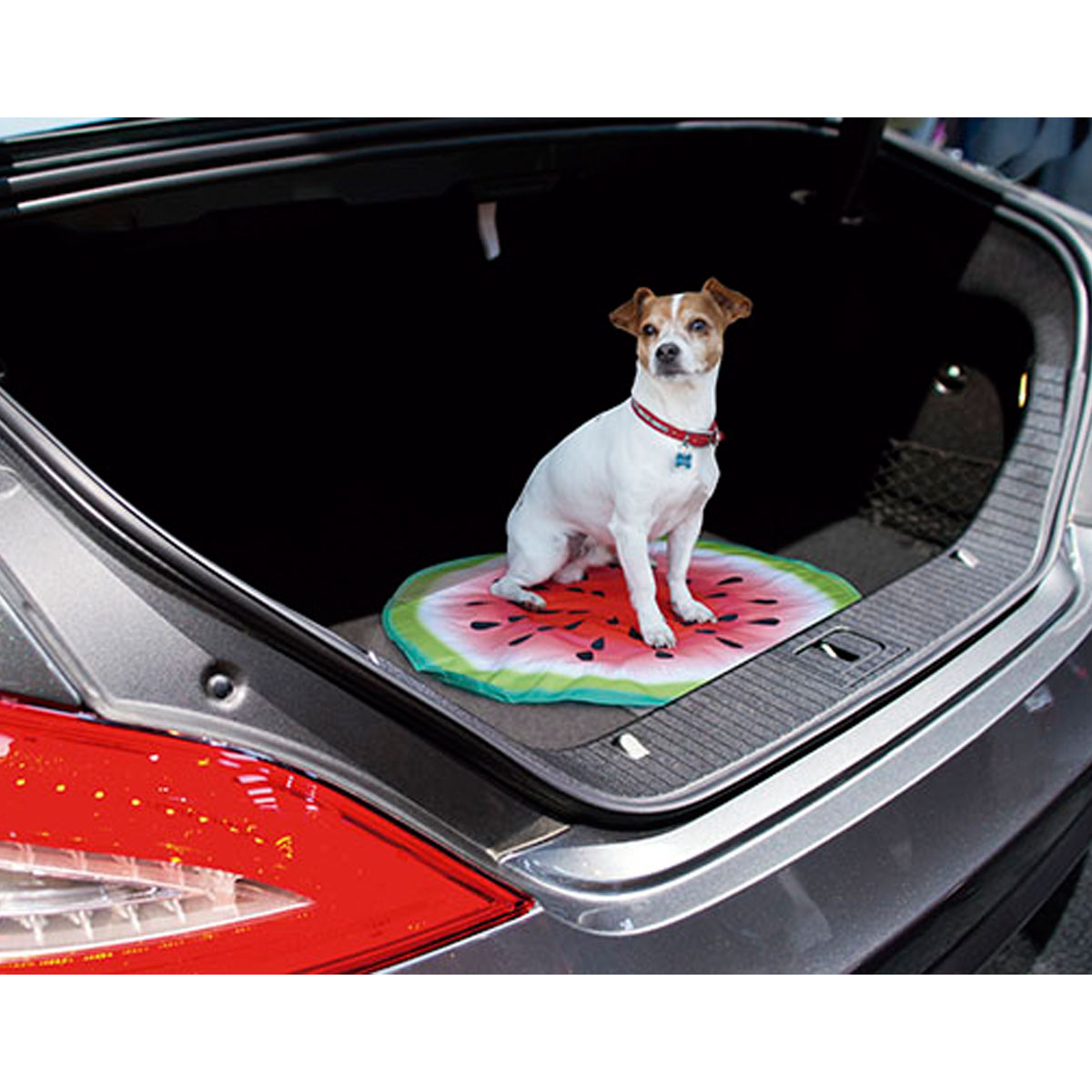 Starlyf Kuhlmatte Pet Cooling Mat fur Hunde