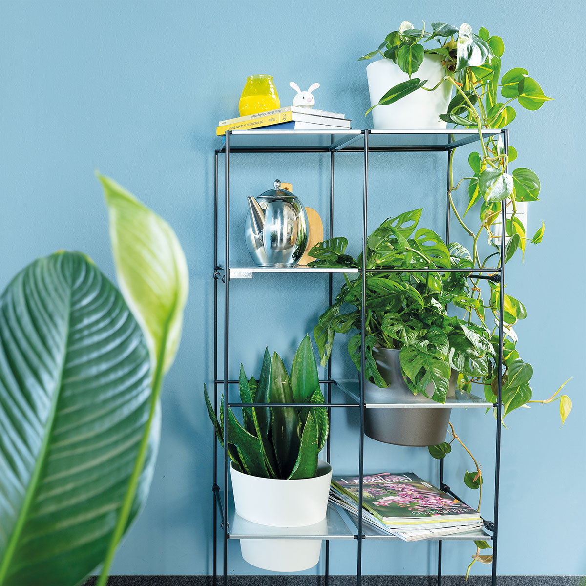 Vertikales Pflanzenregal Filo 2 x 4 Bild 3