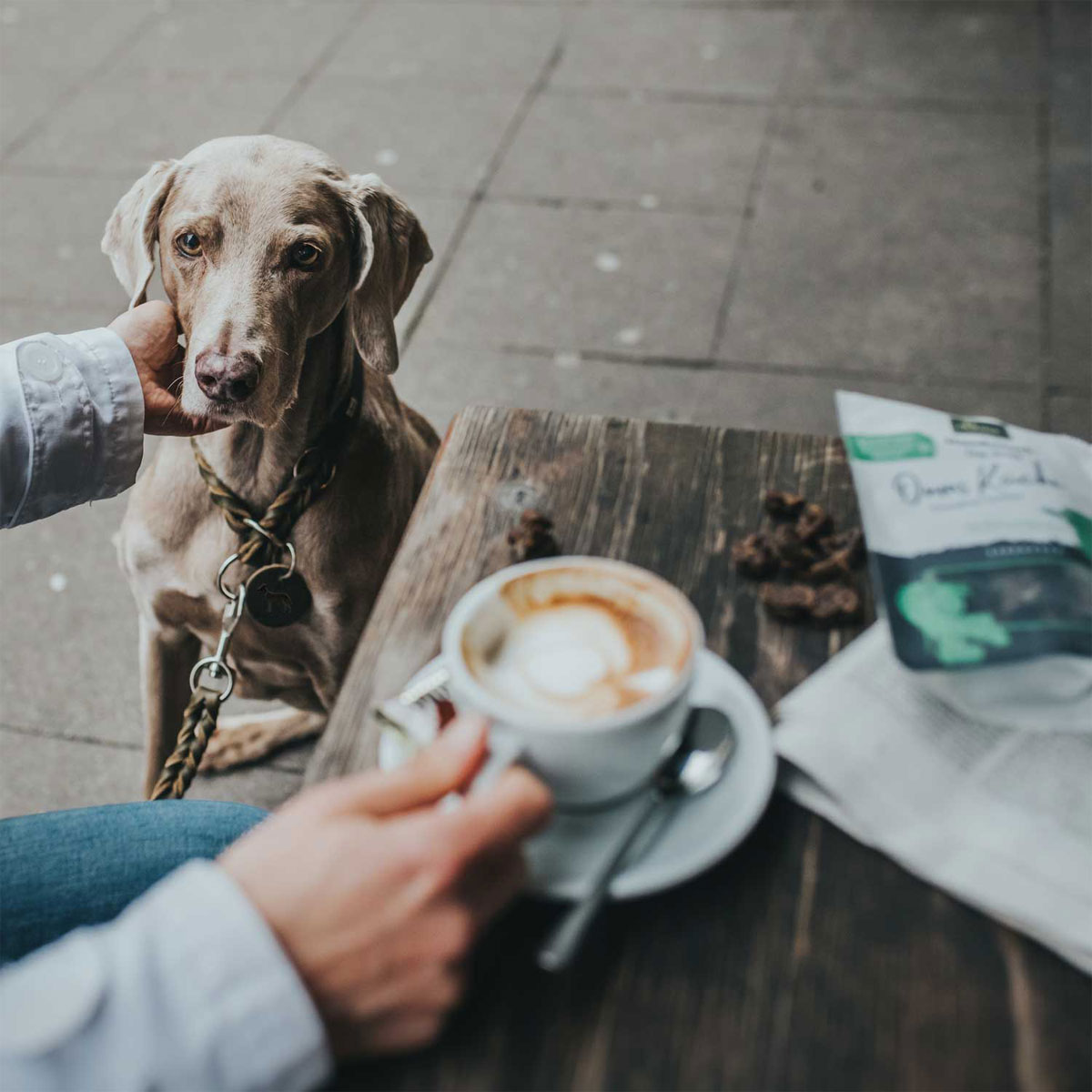 Hunter Dressurhalsung Solid Education oliv Größe L Bild 4