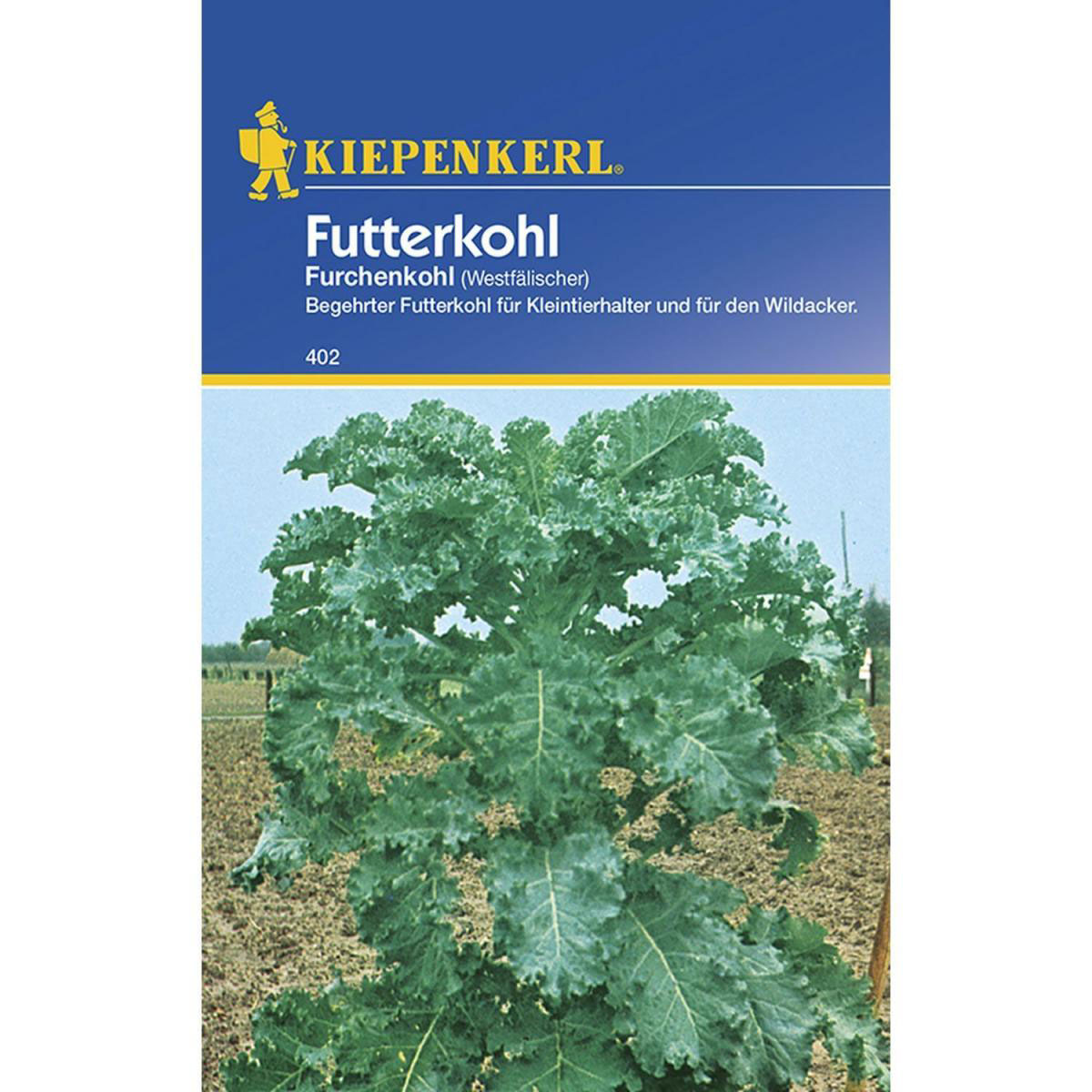 Kiepenkerl Futterkohl Westfälischer Furchenkohl