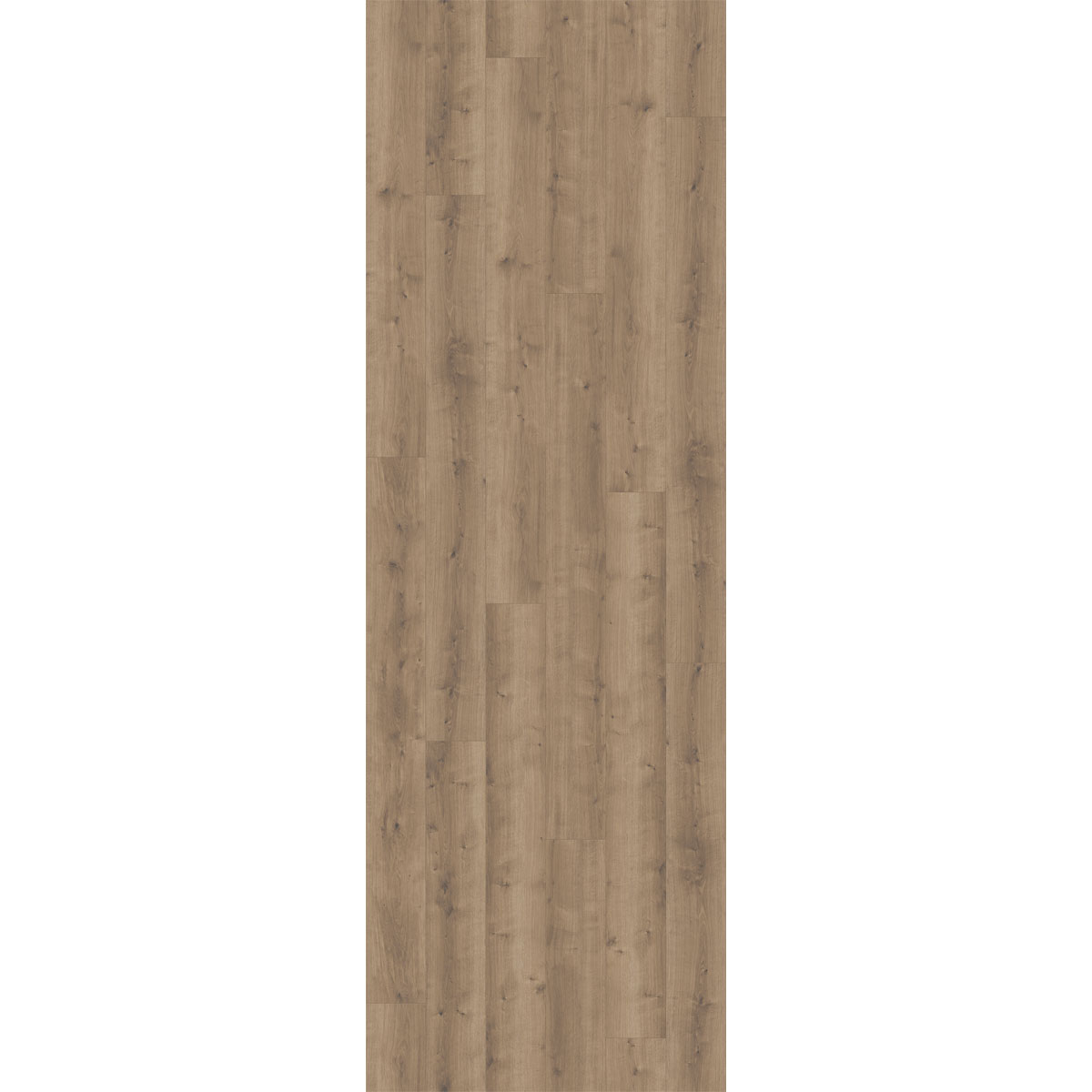 Parador Designboden „Modular One“, Eiche pure perlgrau, Holzstruktur, 23,5x220 cm Bild 2