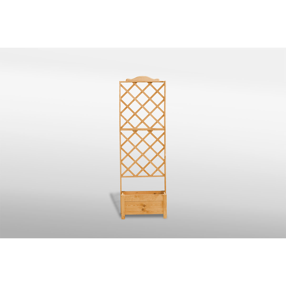 Promadino Rankkasten Botanica 69 x 210 cm