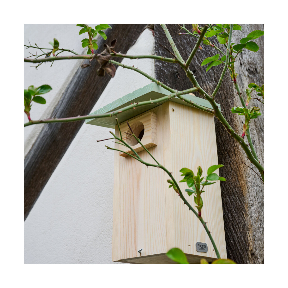 Siena Garden Nistkasten Emilias Nestperle 45 mm Bild 8