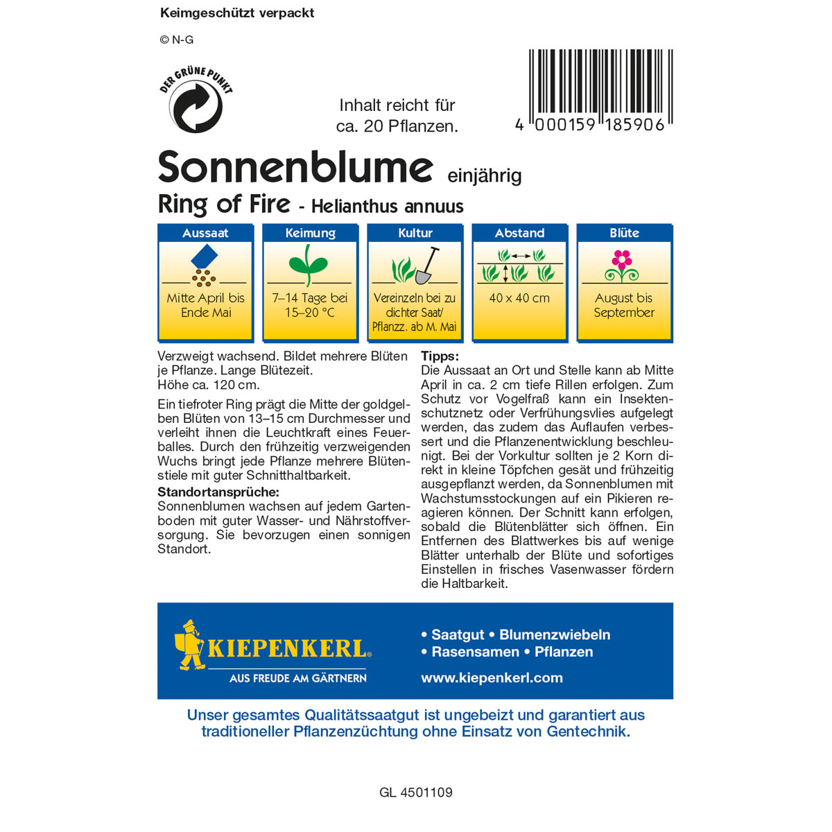 Kiepenkerl Helianthus Ring Of Fire Bild 2