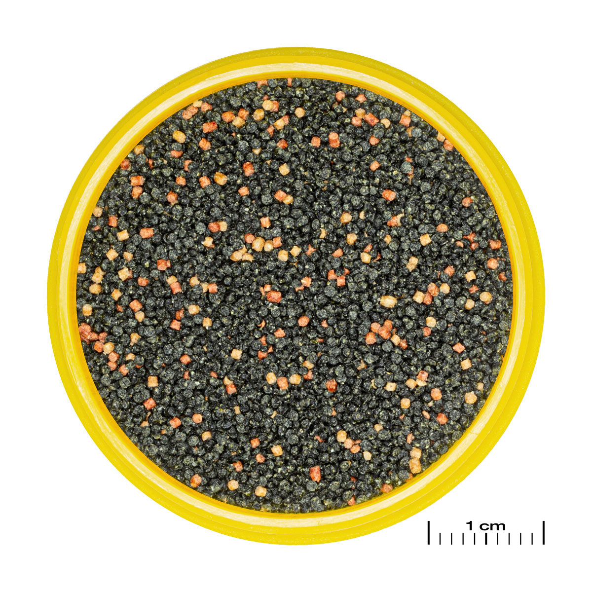 Fischfutter PRONOVO GUPPY GRANO S 100 ml Bild 2