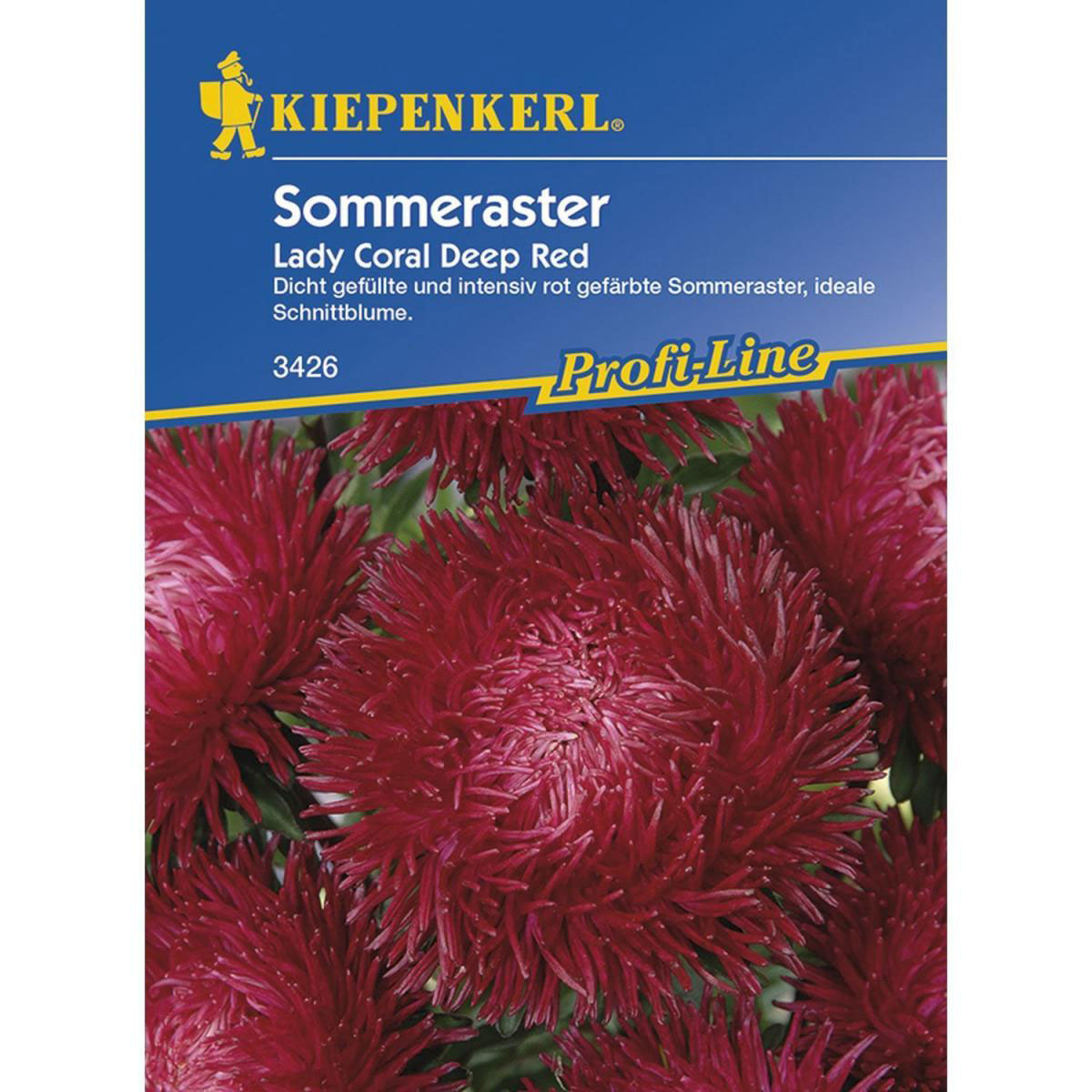 Kiepenkerl Sommeraster Lady Coral Deep Red
