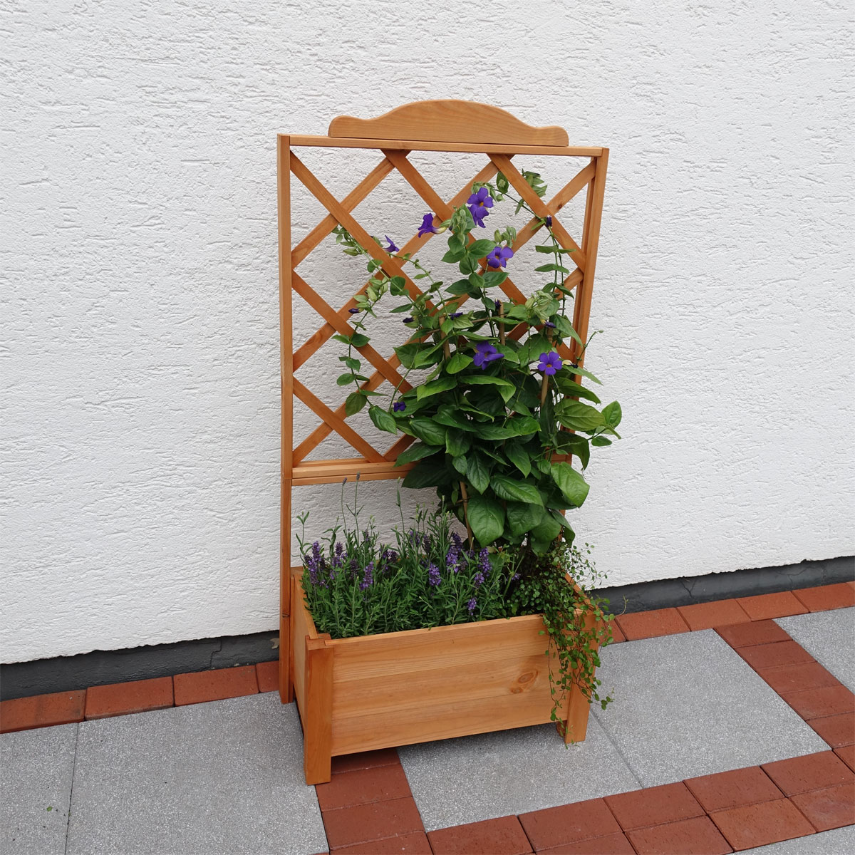 Promadino Rankkasten Botanica 69 x 140 cm Bild 3