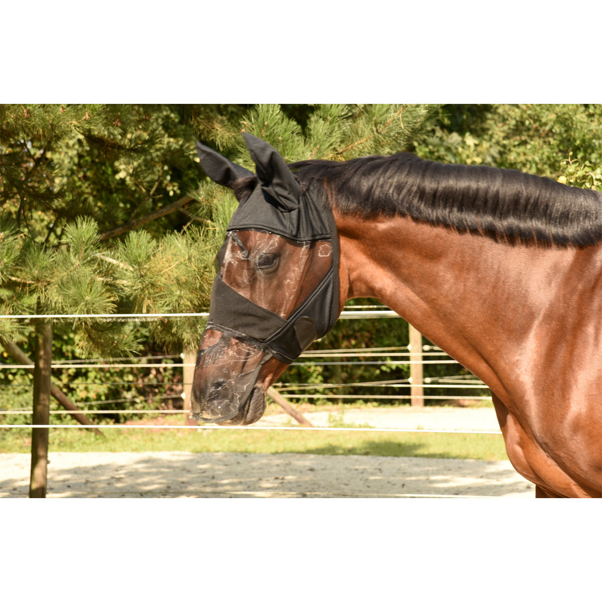 Fliegenschutzmaske schwarz Bild 2