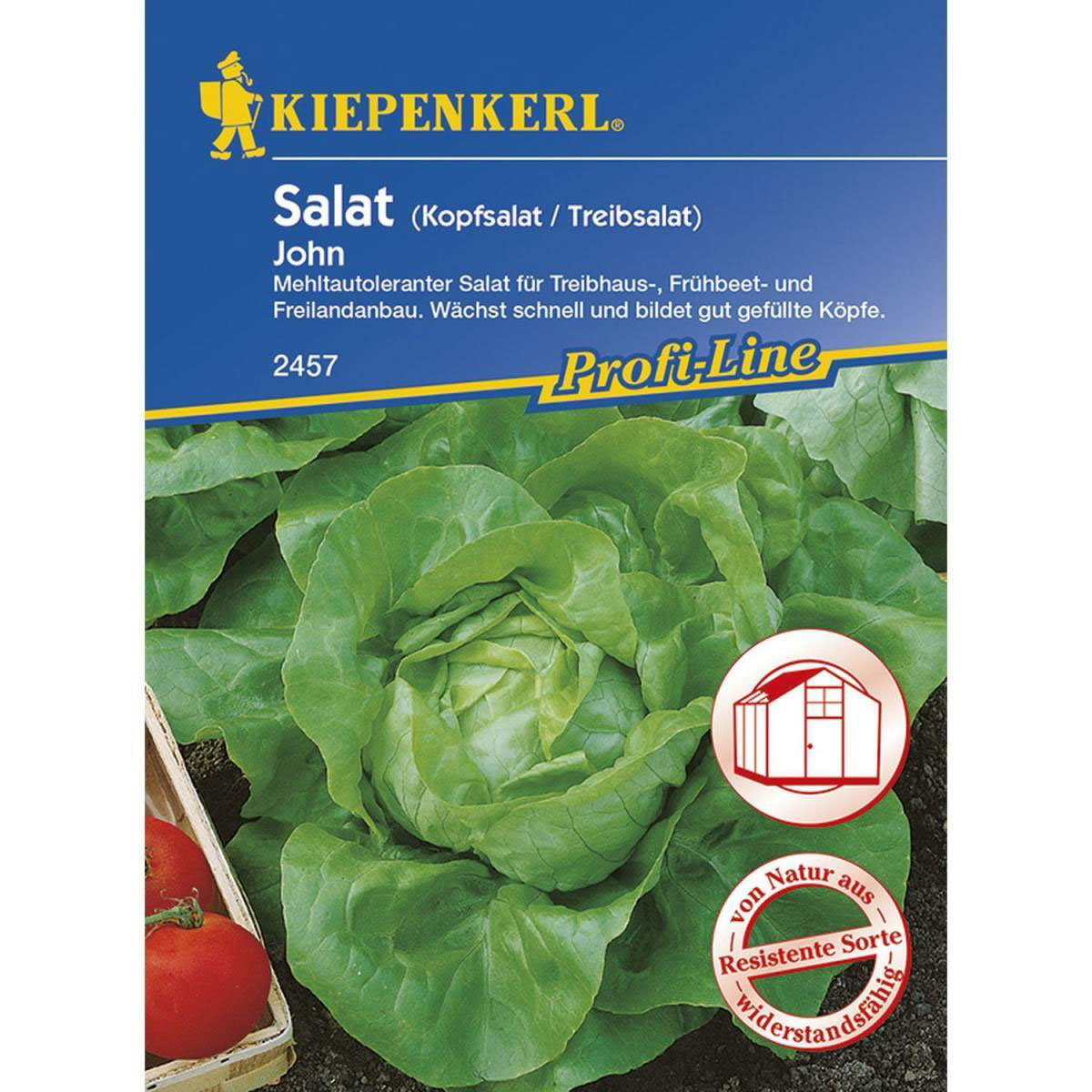 Kiepenkerl Treibhaus-Kopfsalat John Profi-Line