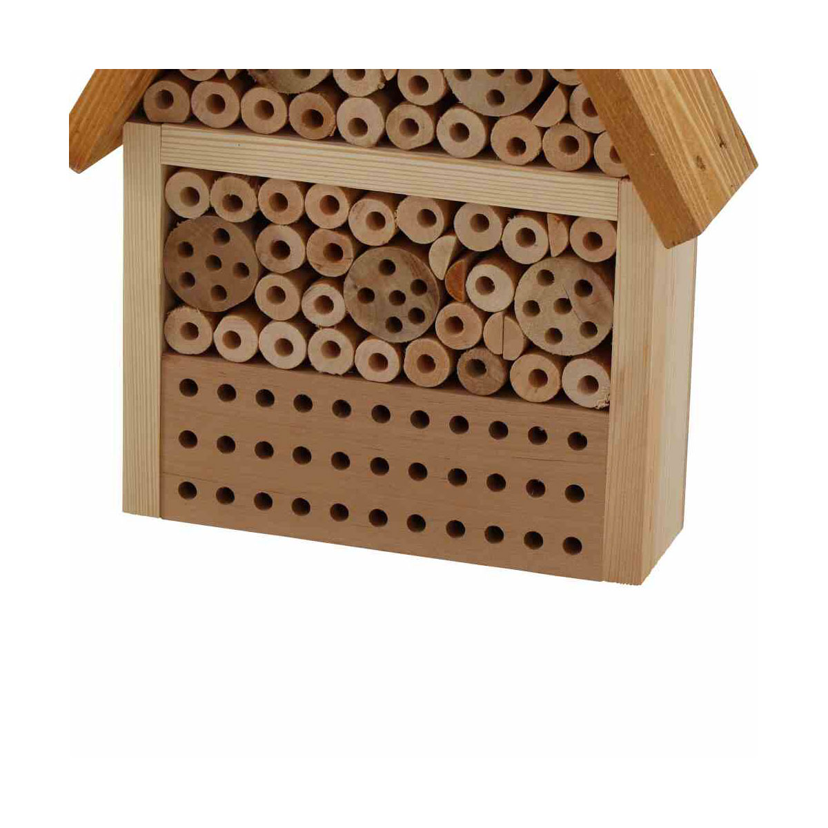 Siena Garden  Bienen- und Schmetterlingshaus Prag Bild 3