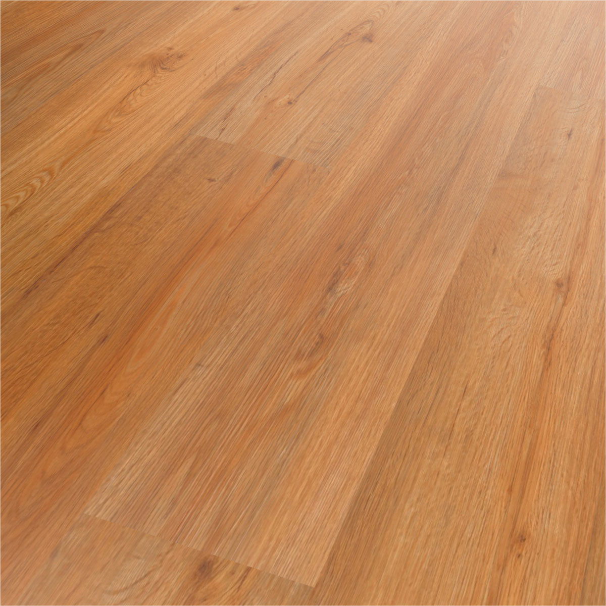 Specht Vinylboden Vinyl SPC Ambiente Avignon Eiche 1220 x 230 x 4,8 mm