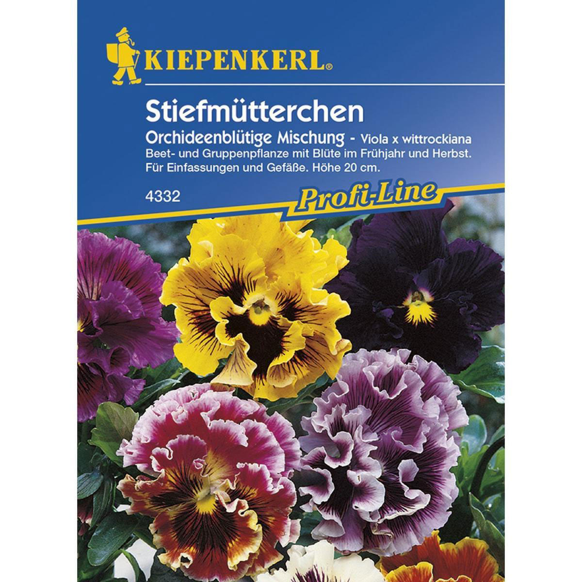 Kiepenkerl Stiefmütterchen Orchideenblütige Misch Profi-Line