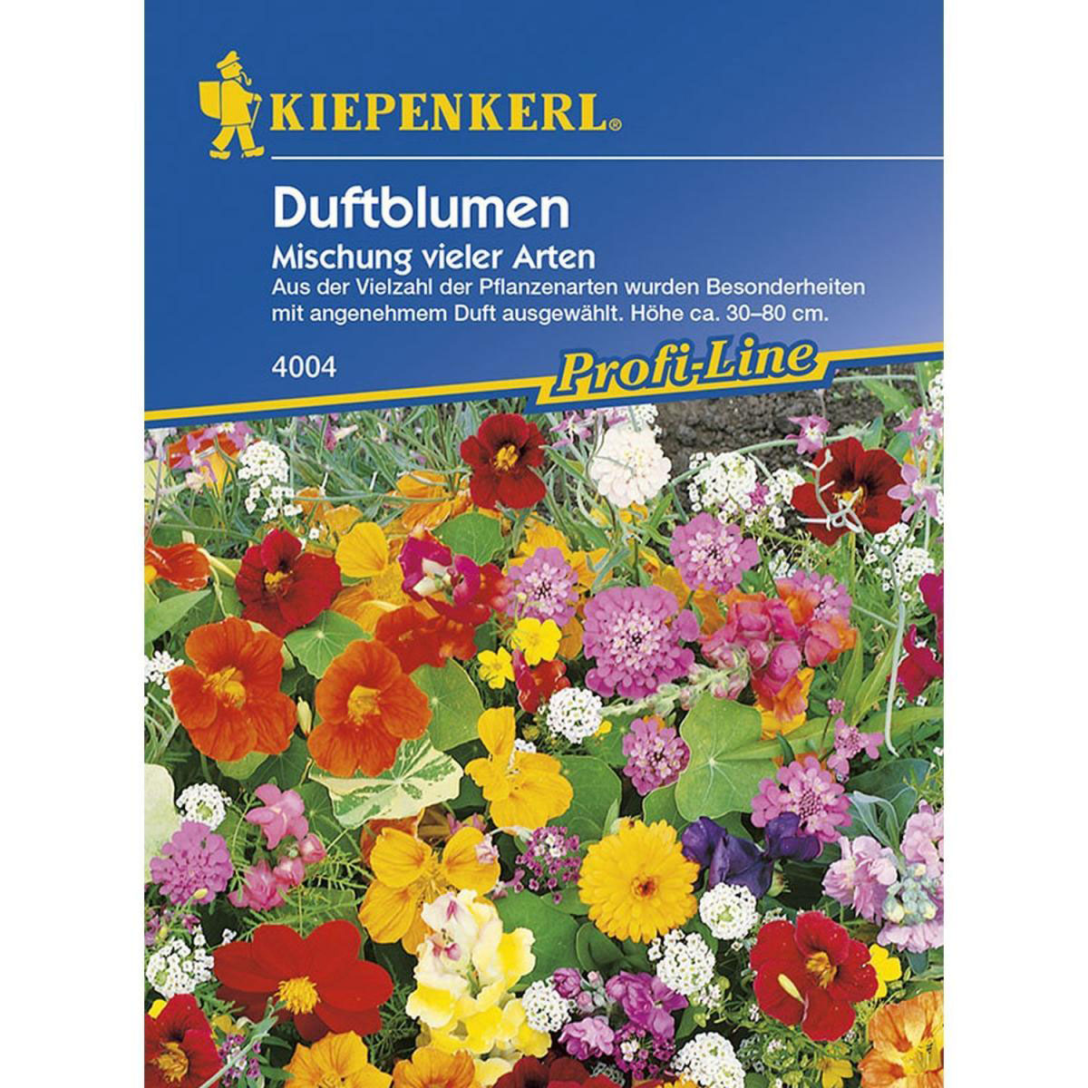 Kiepenkerl Duftblumenmischung einjährig Profi-Line