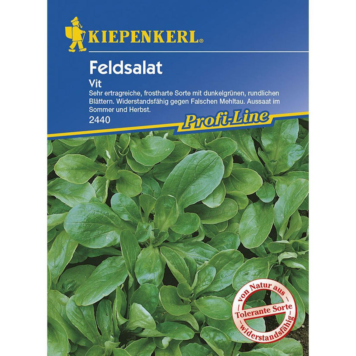 Kiepenkerl Feldsalat Vit Profi-Line