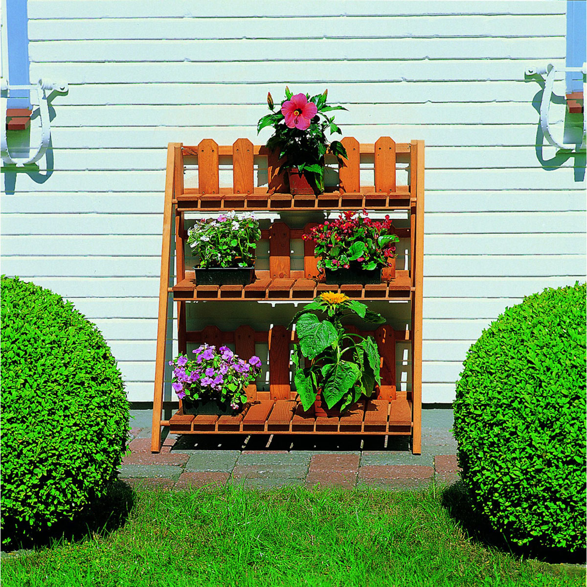 Promadino Blumenetagerie Altes Land Bild 4