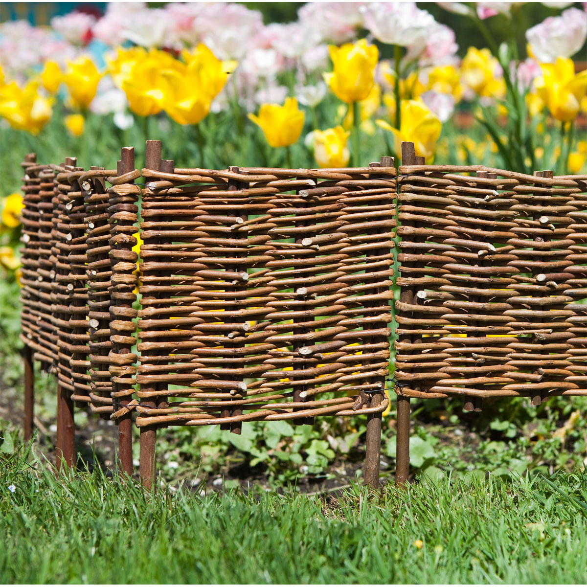 Windhager  Beeteinfassung Weide