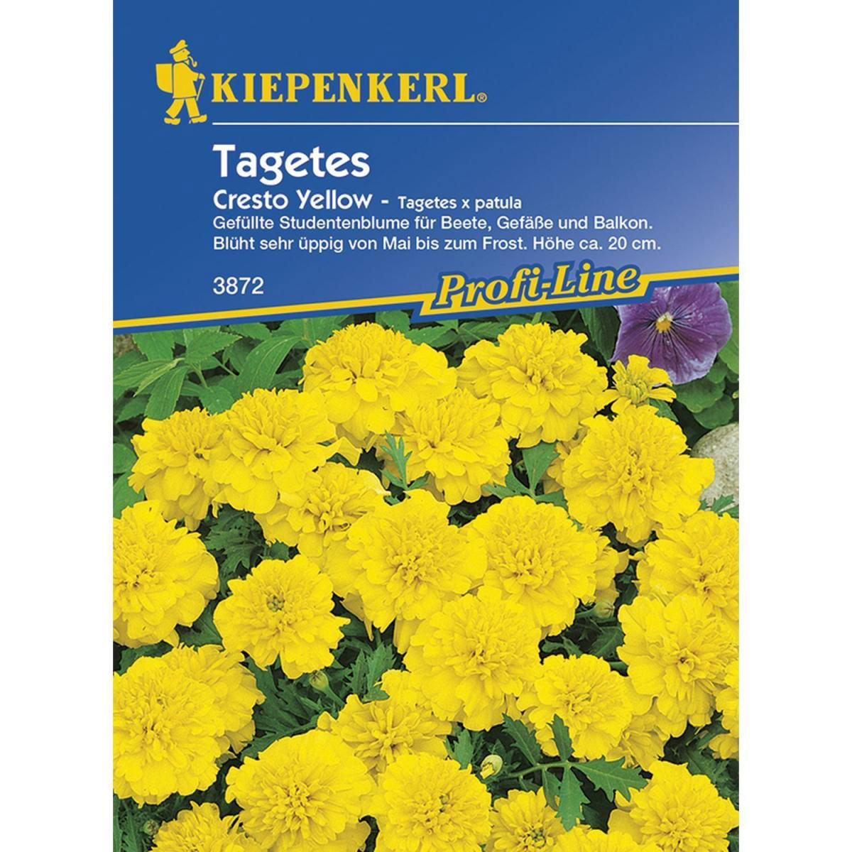 Kiepenkerl Tagetes patula Cresto Yellow Profi-Line