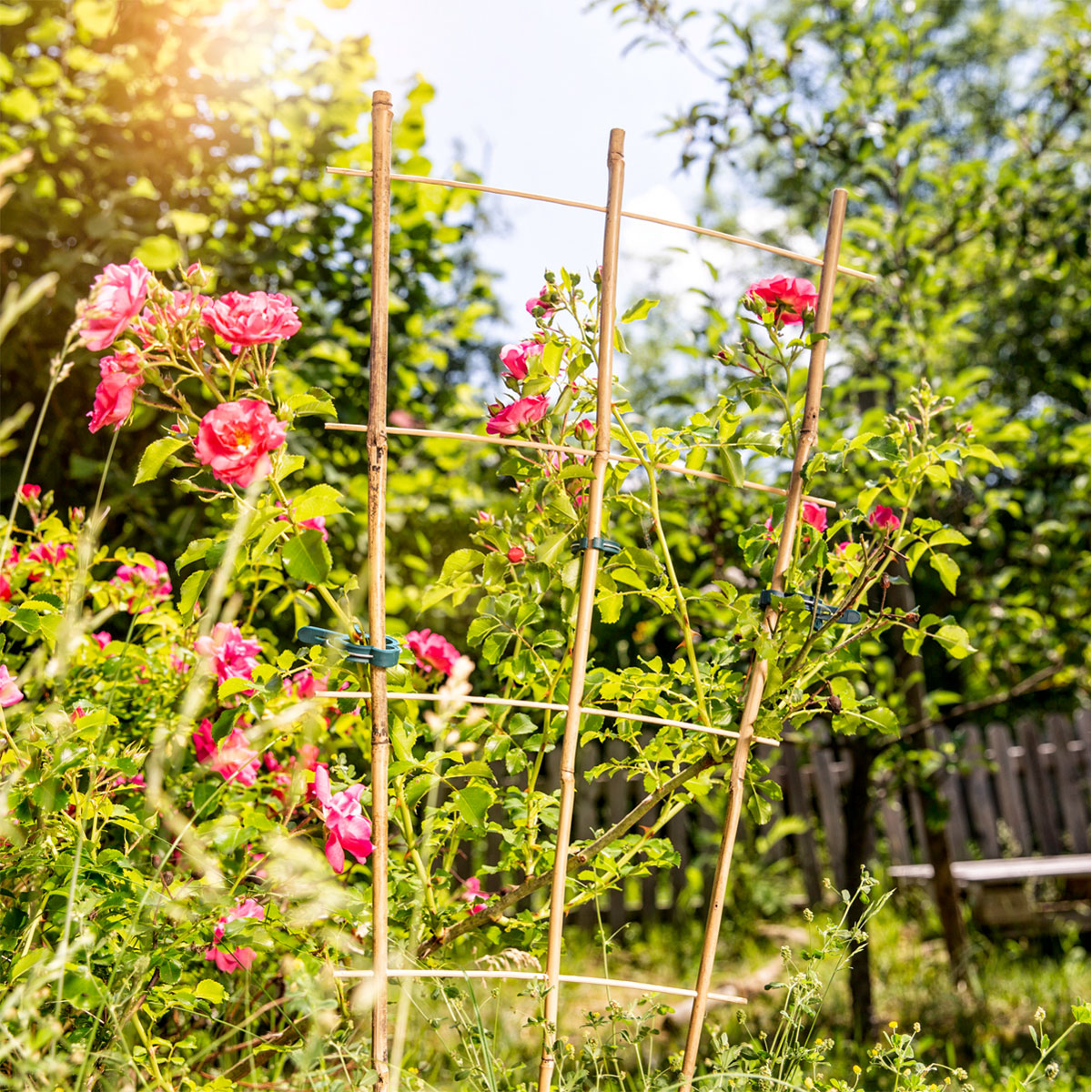 Windhager  Blumenstütze Bambus 110x40 cm