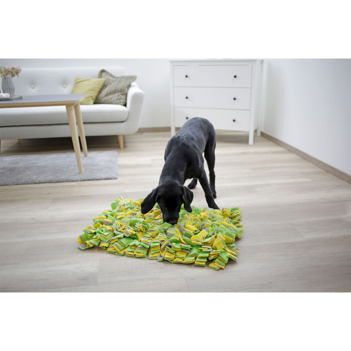 Schnüffelteppich 70 x 50 cm mehrfarbig Bild 3