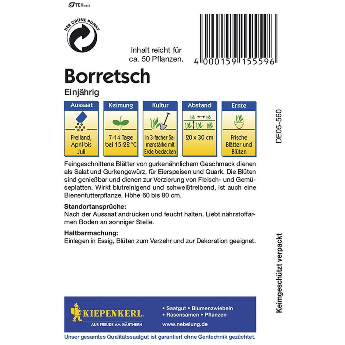 Kiepenkerl Borretsch einjährig Bild 2