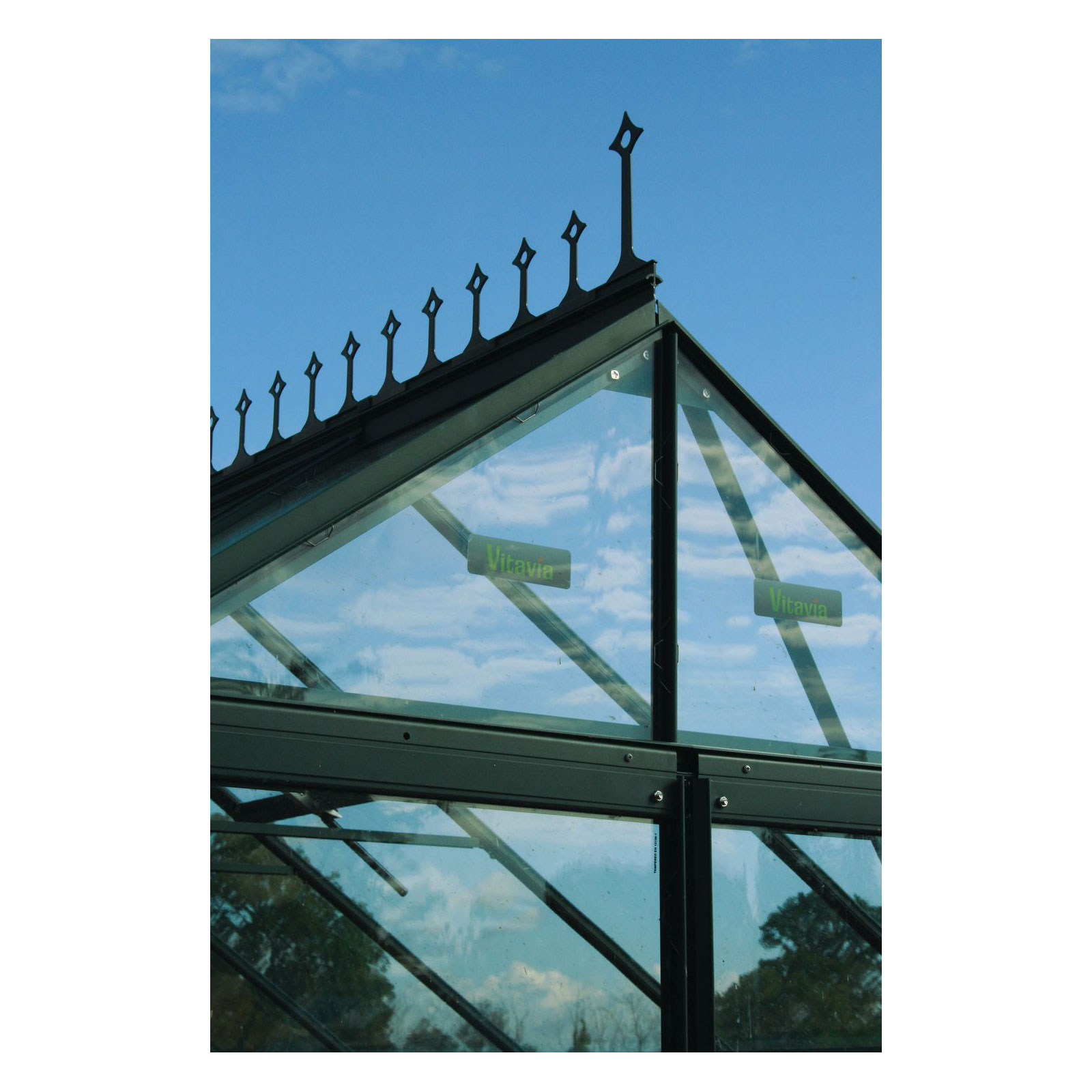 Vitavia Firstkrone grün für Merkur/Mars/Uranus/Diana Bild 2