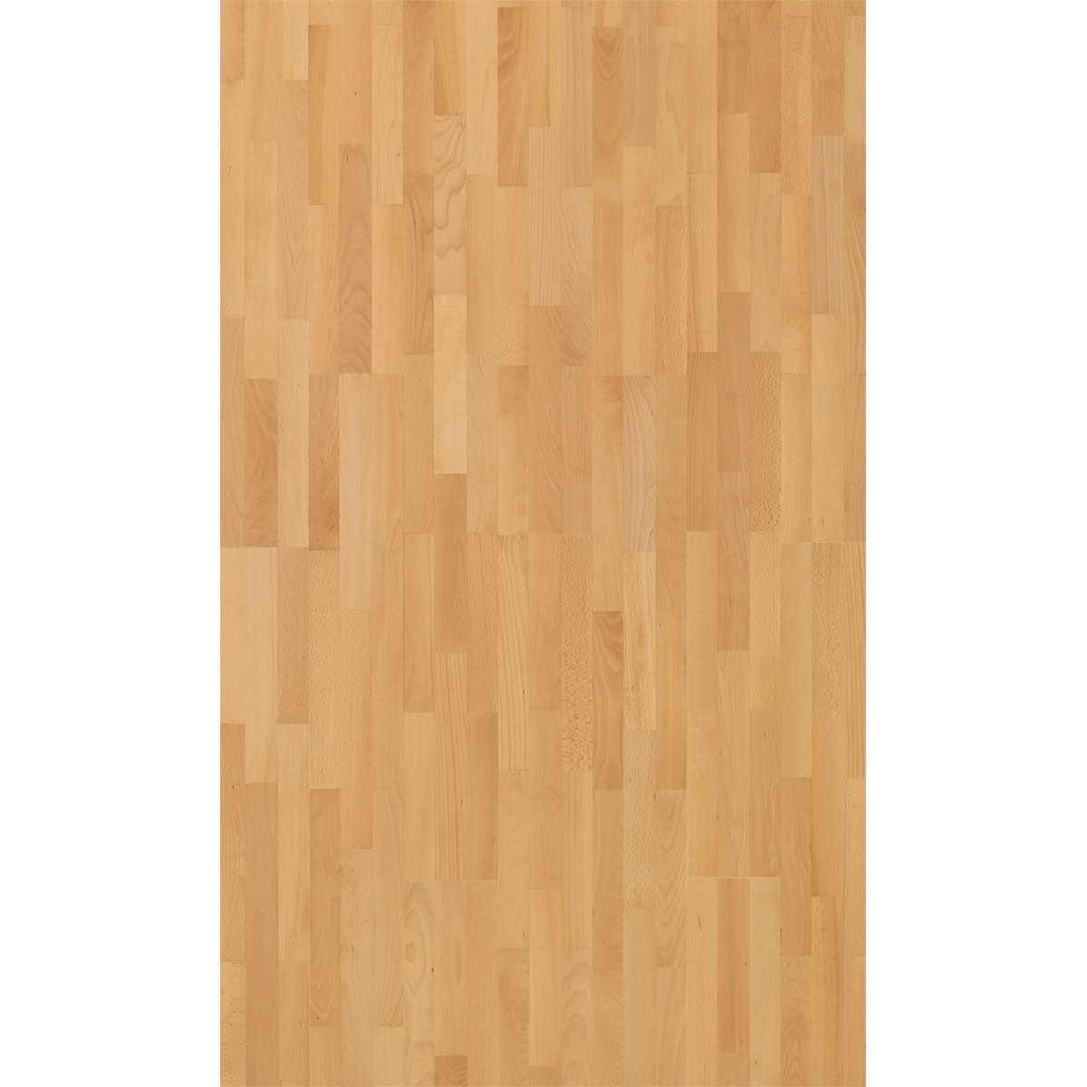 Parador Parkett „Basic 11-5“, Natur Buche, matt lackiert, 18,5x10 cm Bild 2