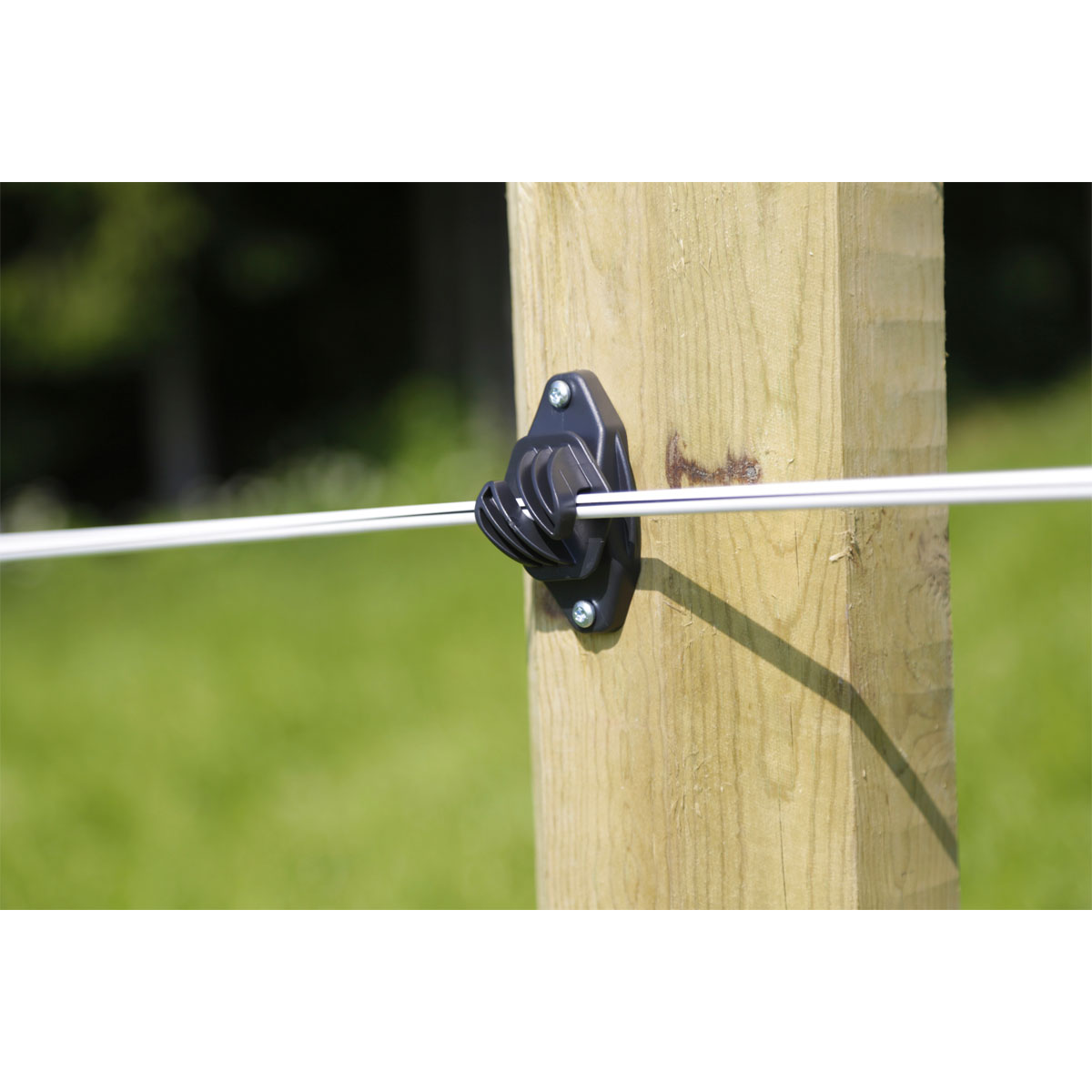 Stahldraht Premium Horse Wire 250 m Bild 2